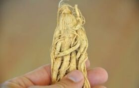herbal penis enlargement